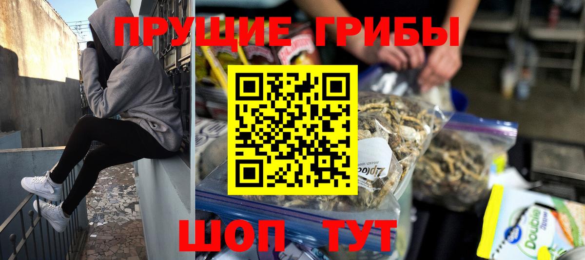 Партизанск  Галлюциногенные грибы Psilocybine cubensis  Вход с VPN  Галлюциногенные грибы Psilocybe 